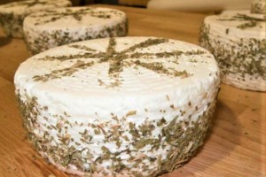 Тур Винний шлях Закарпаття: дегустація карпатської бринзи від сировара Світлани Злобіної